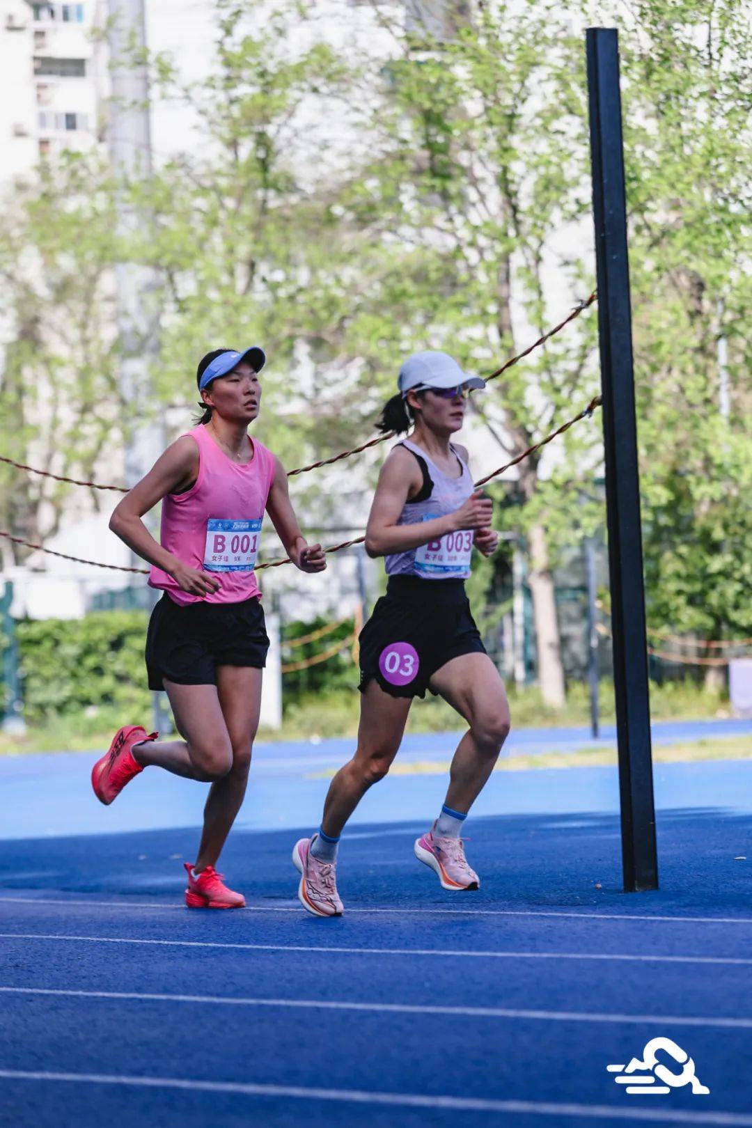 女子米决赛即将展开激烈角逐